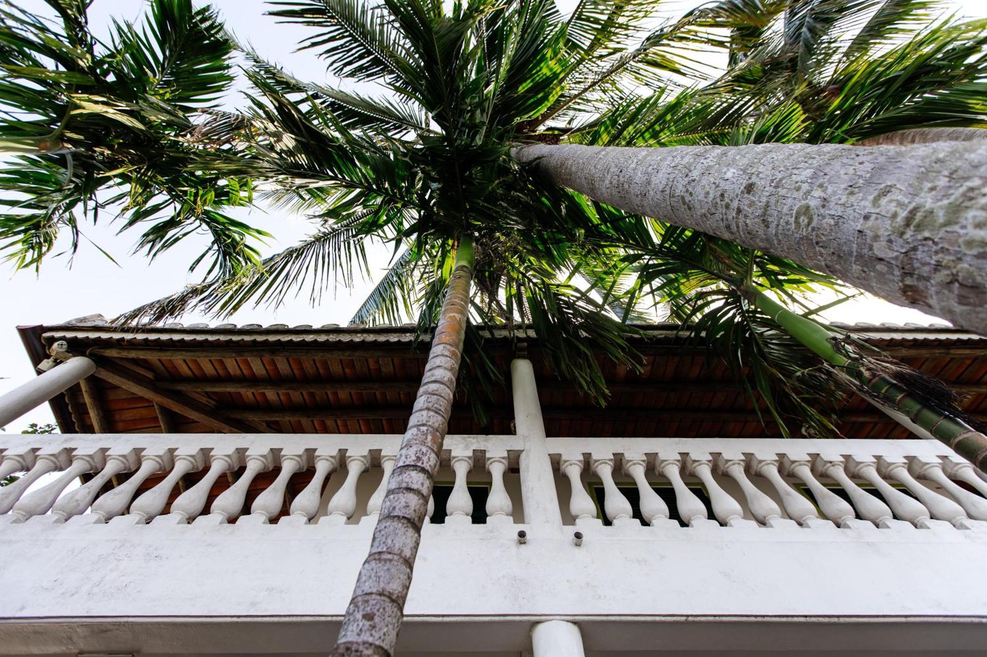 Heron House Hoi An Exterior photo